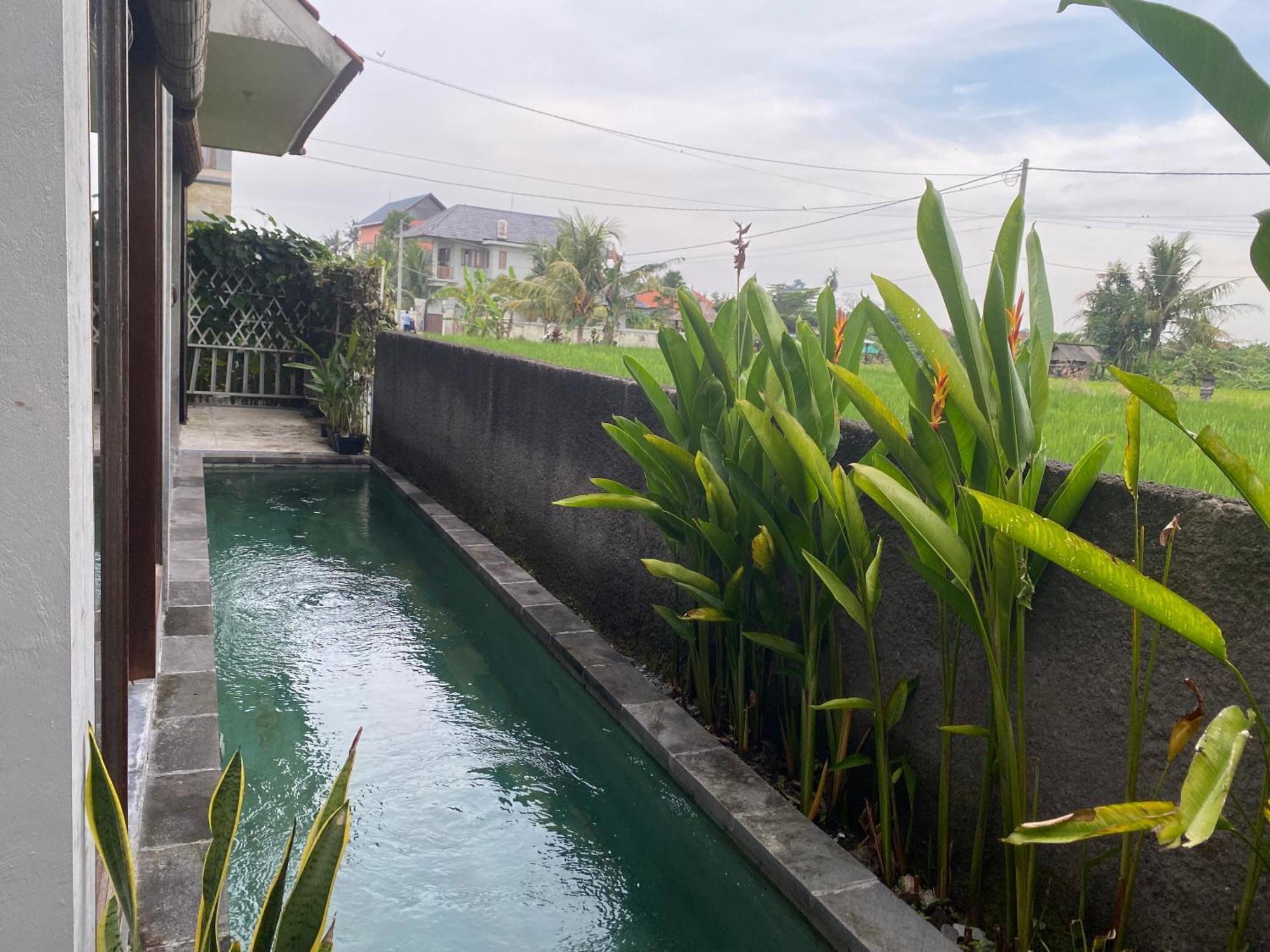 Mandala Rengganis Ubud View Private Villa By Eps Eksteriør bilde